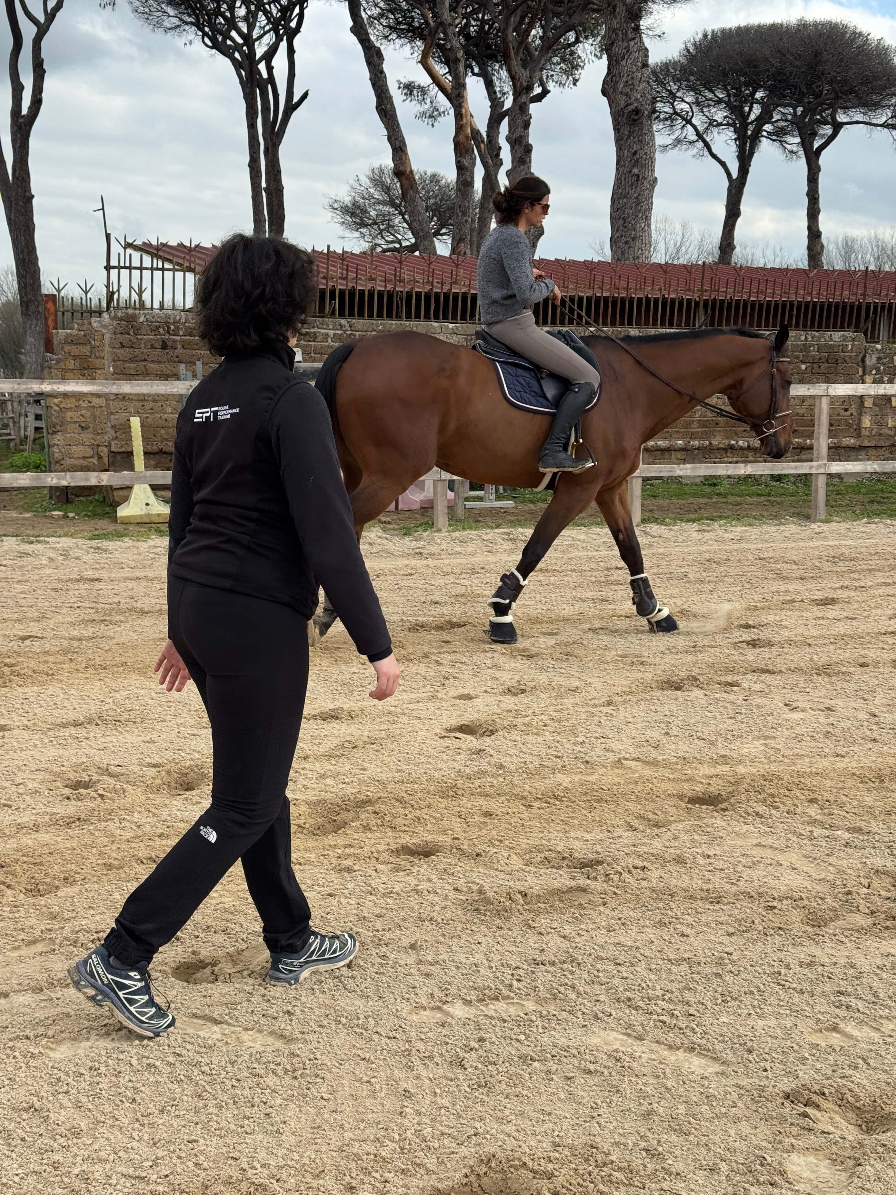 Horse care detail